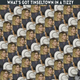 Illustration for article titled This Week In Tabloids: Lori Loughlin, Interrupted